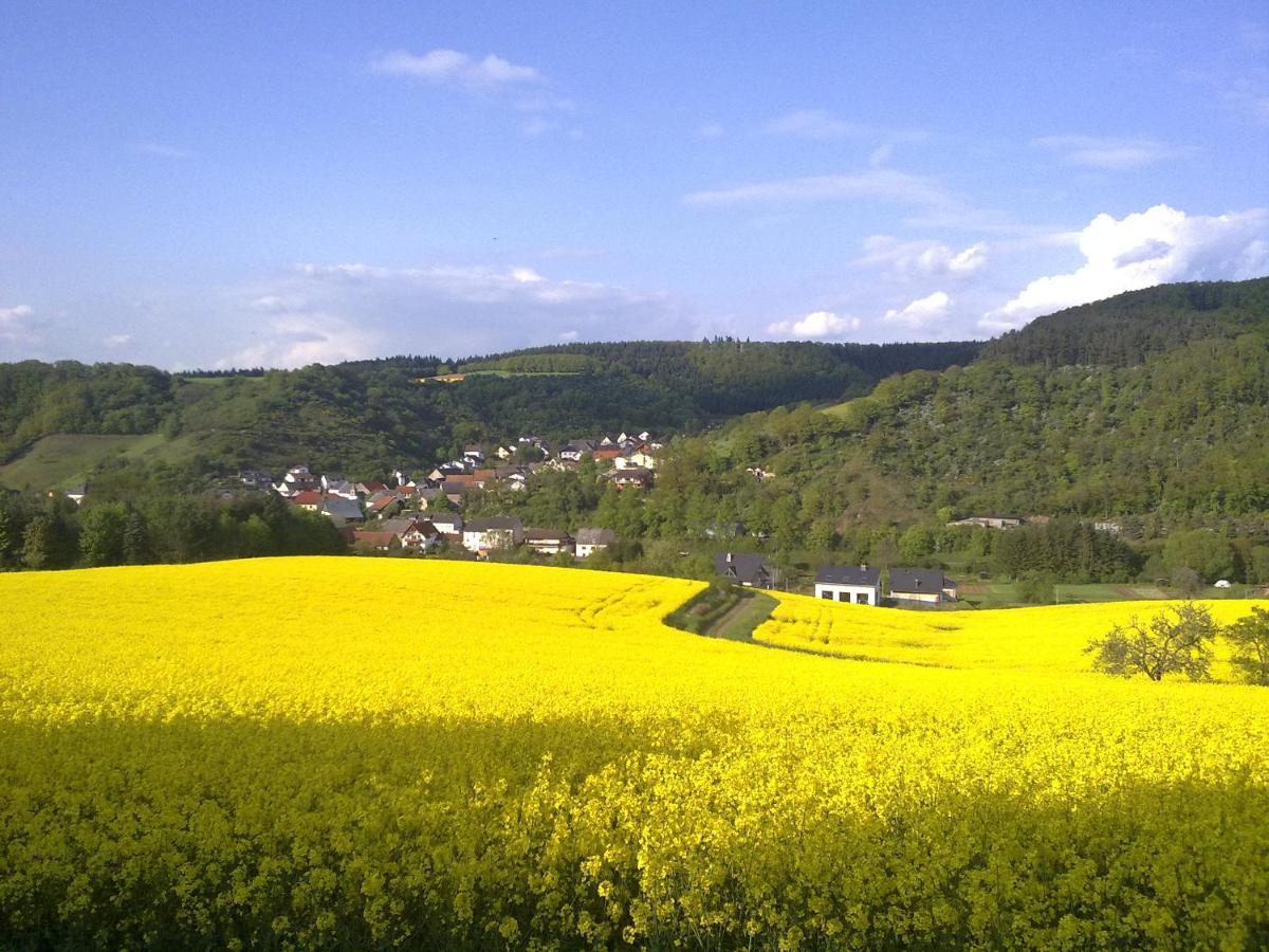 Ferienwohnungen Naheliebe Im Hunsrueck & Naheland Bärenbach Exterior photo